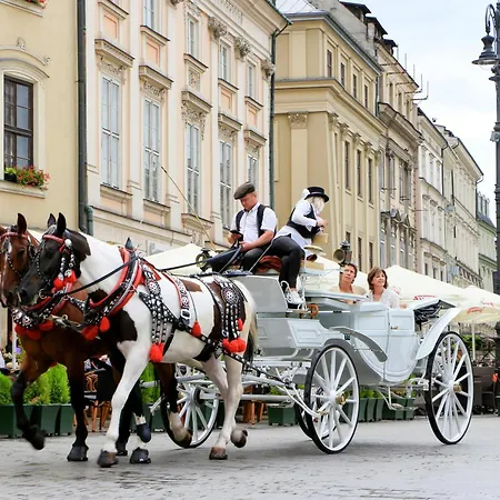 Elegancki - Kalwaryjska, Centrum Krakowa *
